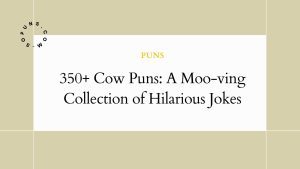 350+ Cow Puns