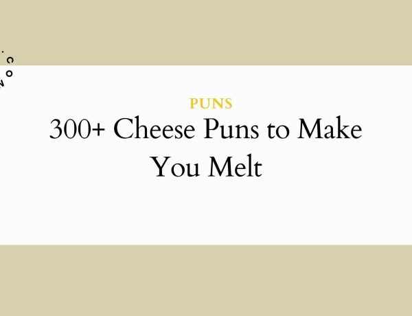 300+ Cheese Puns